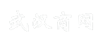武汉商网